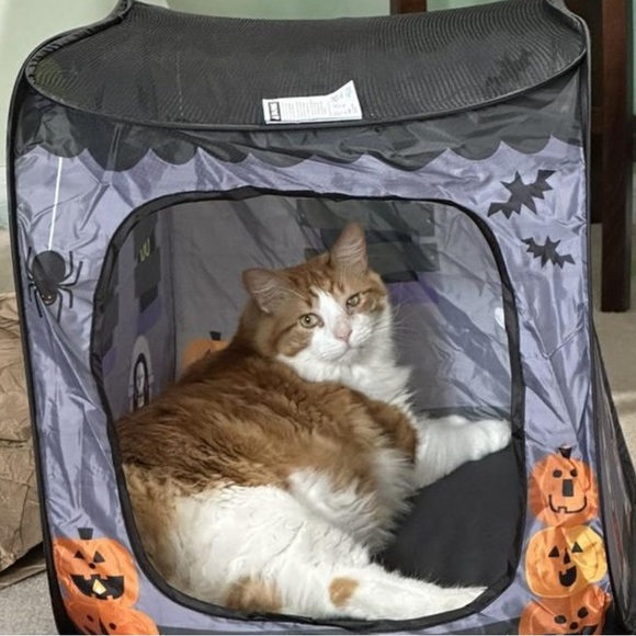 NWT Halloween Nylon Pop Up Dog/ Cat Crate - Hyde &
EEK! Boutique™ - Picture 6 of 6